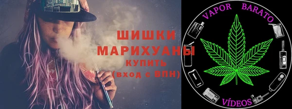 тгк Новодвинск