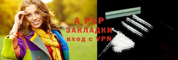 тгк Новодвинск
