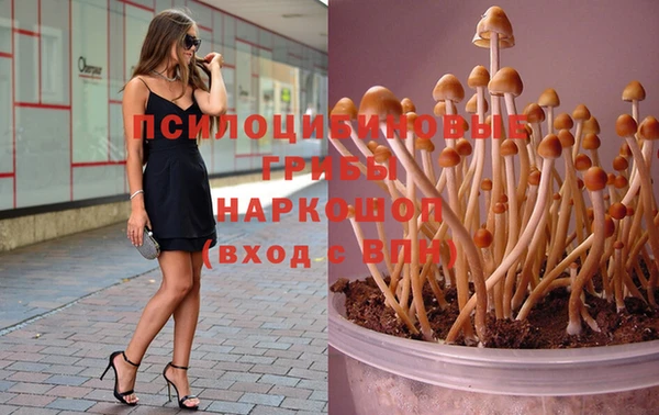 мефедрон Новозыбков