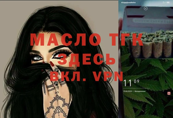 тгк Новодвинск